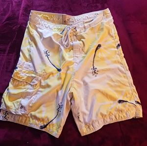 Hollister Swim trunks